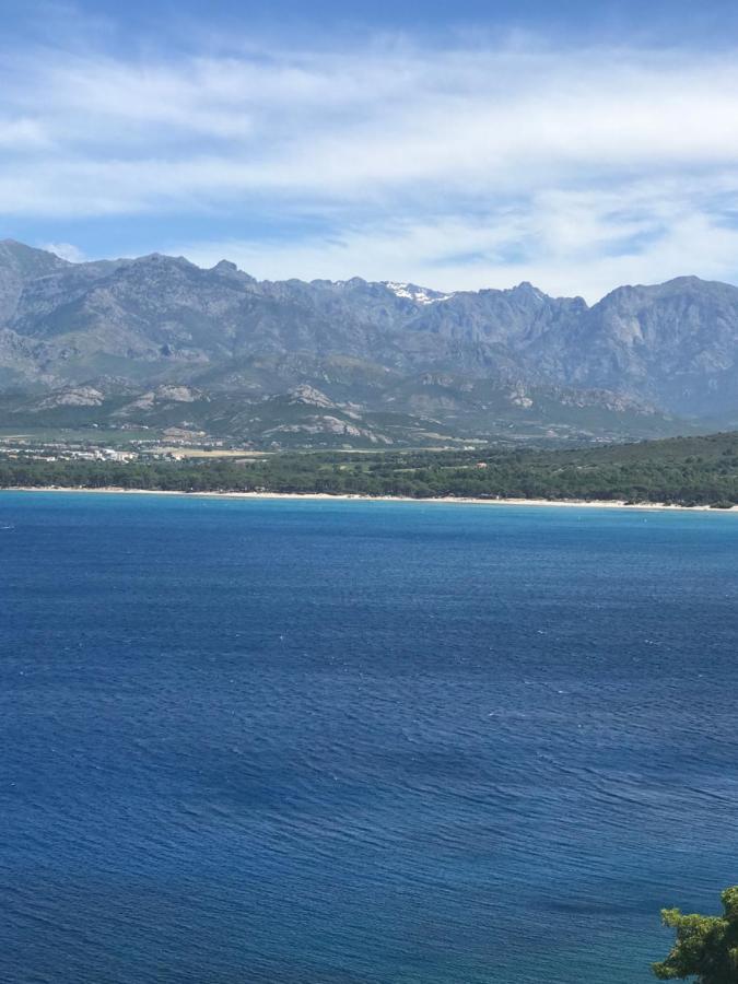 Duplex Renove Les Pieds Dans L'Eau Appartement Calvi  Buitenkant foto